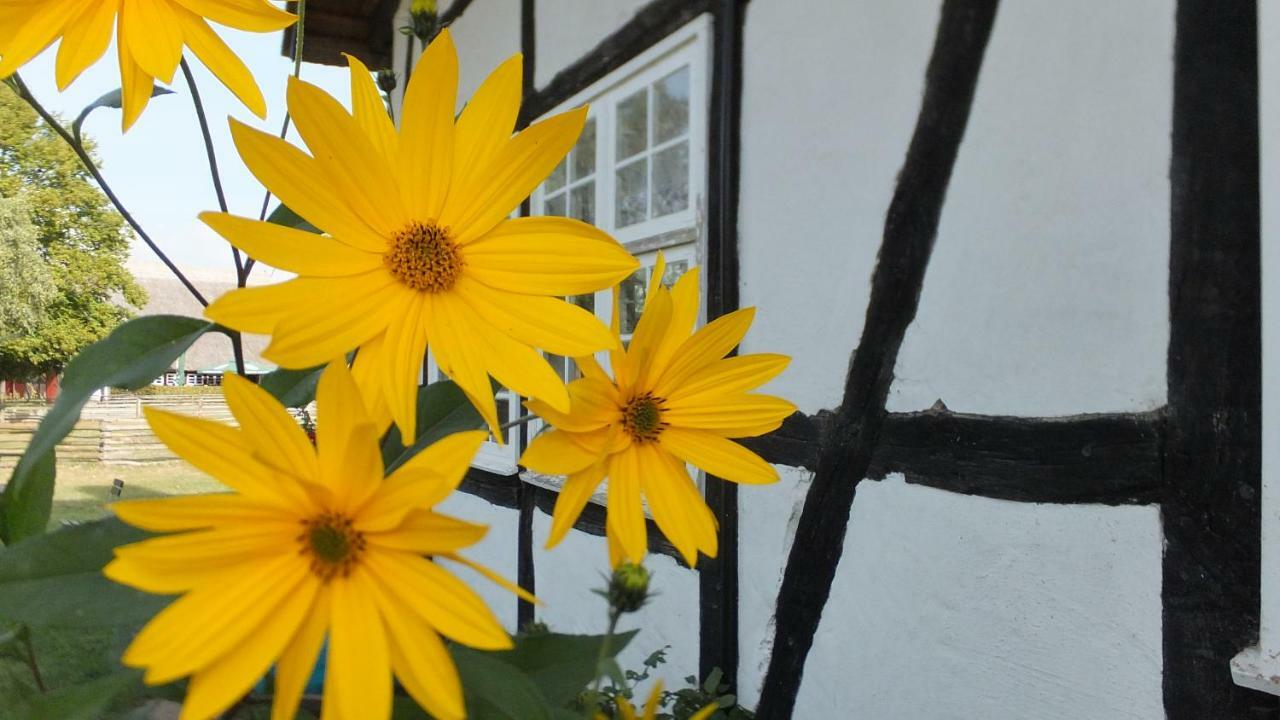 Ferienwohnung "Schonzeit" Graal-Mueritz Eksteriør billede